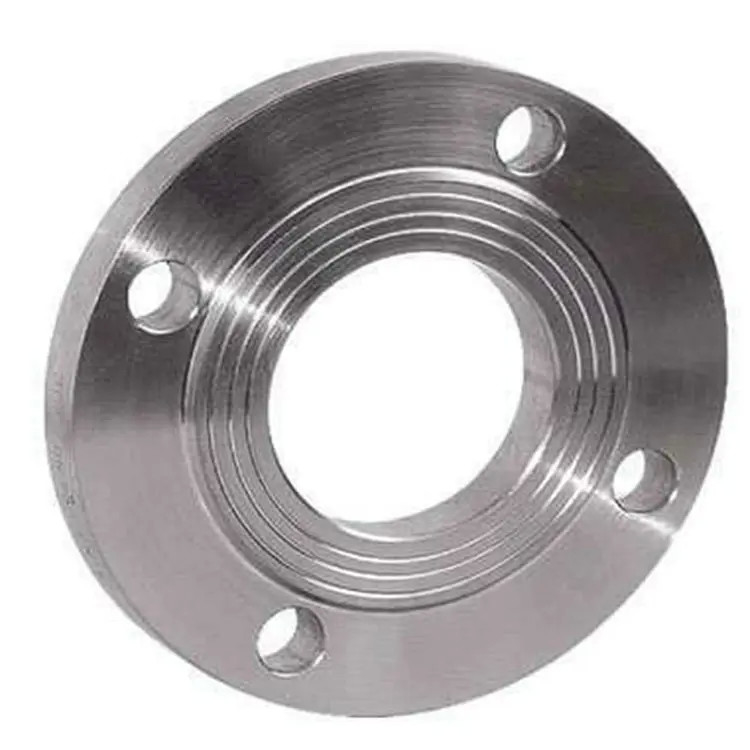 Stainless Back Ring Forged Inch Flanges Flanged Pipe Fittings Steel