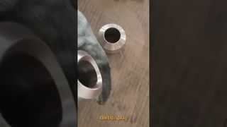 ولدولت