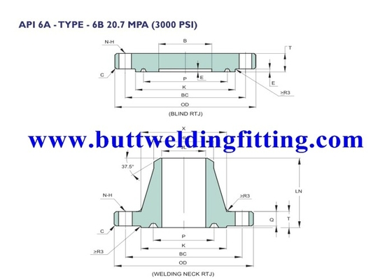 Chemical API Forged Steel Flanges For Pipes / 3000 PSI Stainless Steel Forged Flange