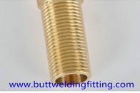 Forged Pipe Fittings NPT Thread Stainless Steel 304 Hexagon Nipple