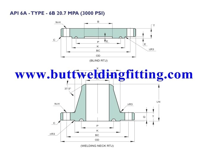 Chemical API Forged Steel Flanges For Pipes / 3000 PSI Stainless Steel Forged Flange