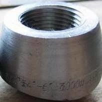 METAL Forged Pipe Fittings Weldolet Class 3000# SCH160 4"X2" UNS S31803