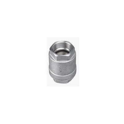Hot Selling Welsure 304 Stainless Steel Threaded Rod Reducer Coupling Factory Goods Forged Fitting