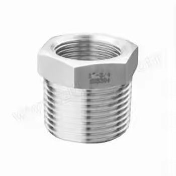 Forged Socket Weld Fittings Custom Stainless Steel Bushings Industrial Pipe Connector
